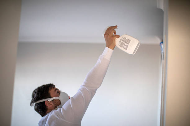 Best Mold Remediation for Schools in Saratoga, CA
