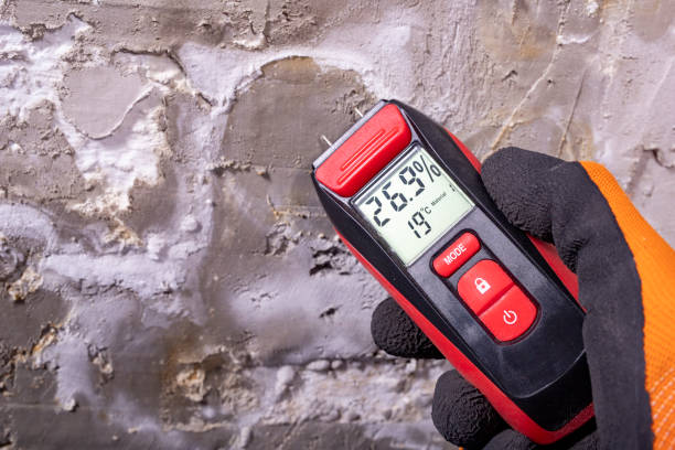 Best Mold Remediation for Specific Building Types in Saratoga, CA